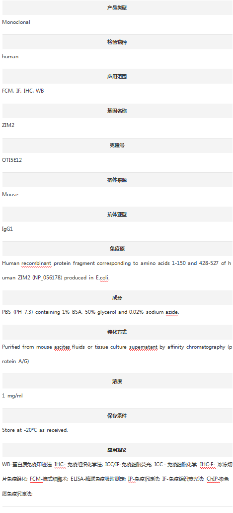 Anti-ZIM2 Antibody (Clone#OTI5