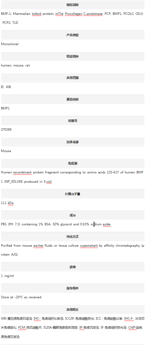 Anti-BMP1 Antibody (Clone#OTI3