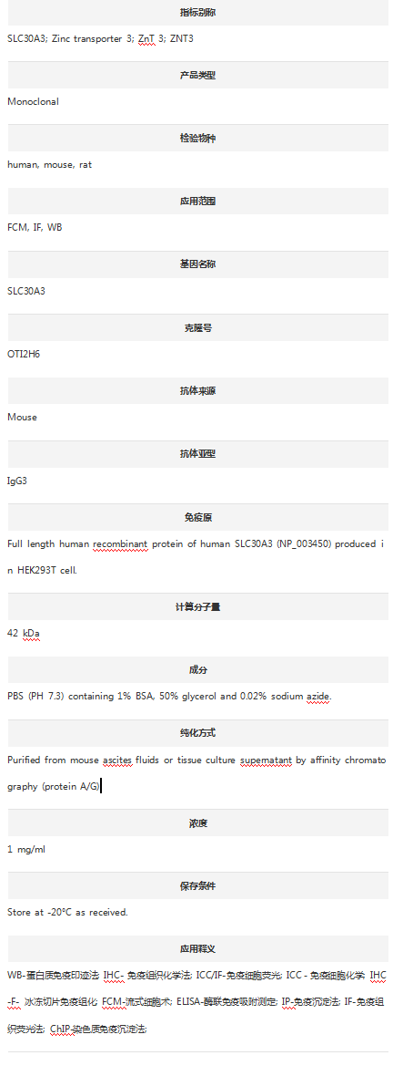 Anti-SLC30A3 Antibody (Clone#O