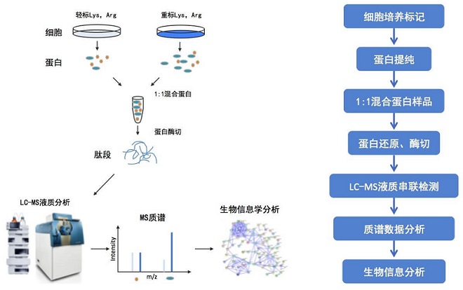 技术资料图片1