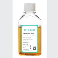 特级胎牛血清