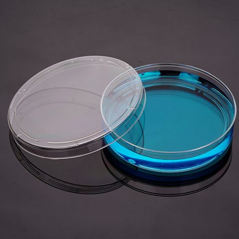90MM细菌培养皿，袋装灭菌