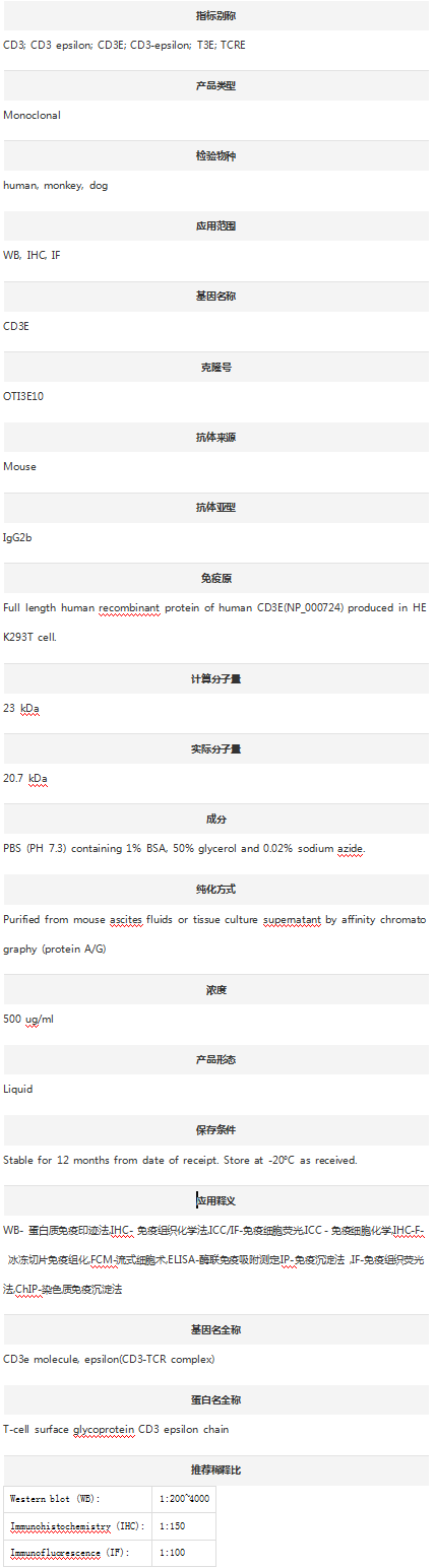 Anti-CD3E Antibody (Clone#OTI3