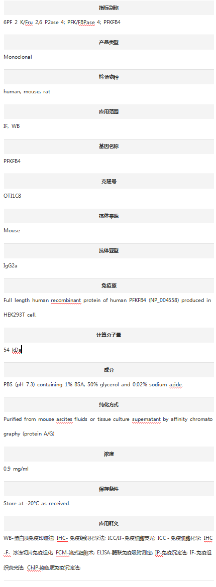 Anti-PFKFB4 Antibody (Clone#OT