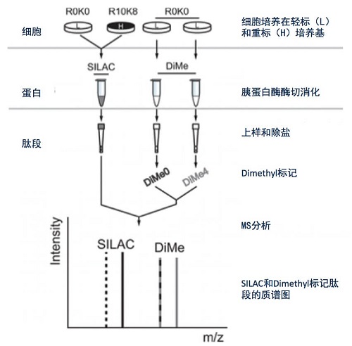 技术资料图片2