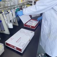 大鼠生长因子(GH)ELISA试剂盒