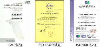 GMP级细胞因子：细胞治疗的“黄金搭档”