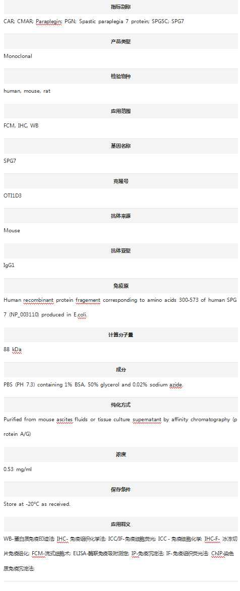 Anti-SPG7 Antibody (Clone#OTI1