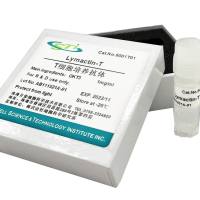 T细胞培养抗体 Lymactin-T