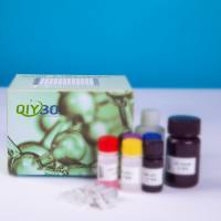 猪唾液酸结合Ig样凝集素6(SIGLEC6)ELISA测试盒