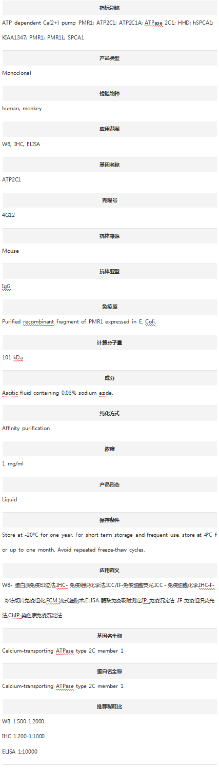 Anti-ATP2C1 Antibody (Clone#4G