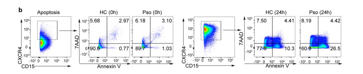 论文分享 | 皮肤炎症治疗新发现