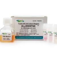 冻存NK细胞培养试剂 ALyS505FNK