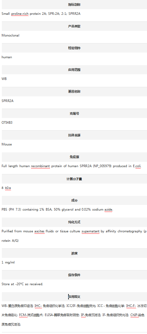 Anti-SPRR2A Antibody (Clone#OT