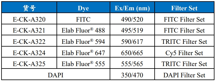 一步法TUNEL原位细胞凋亡检测试剂盒（绿色，FITC）