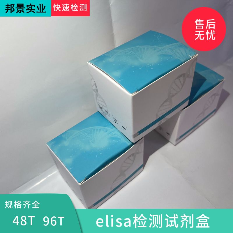 鱼白介素4(IL-4)ELISA试剂盒