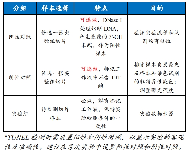 一步法TUNEL原位细胞凋亡检测试剂盒(绿色,FITC)
