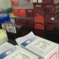 表皮生长因子放免检测服务