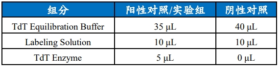 一步法TUNEL原位细胞凋亡检测试剂盒（绿色，FITC）