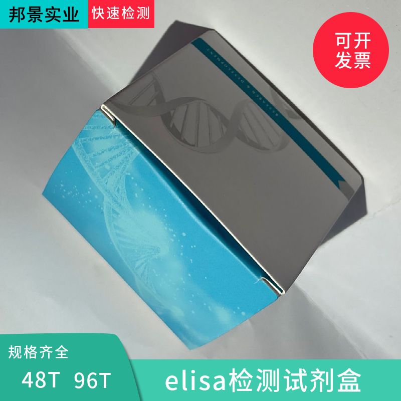 猪白介素4(IL-4)ELISA试剂盒