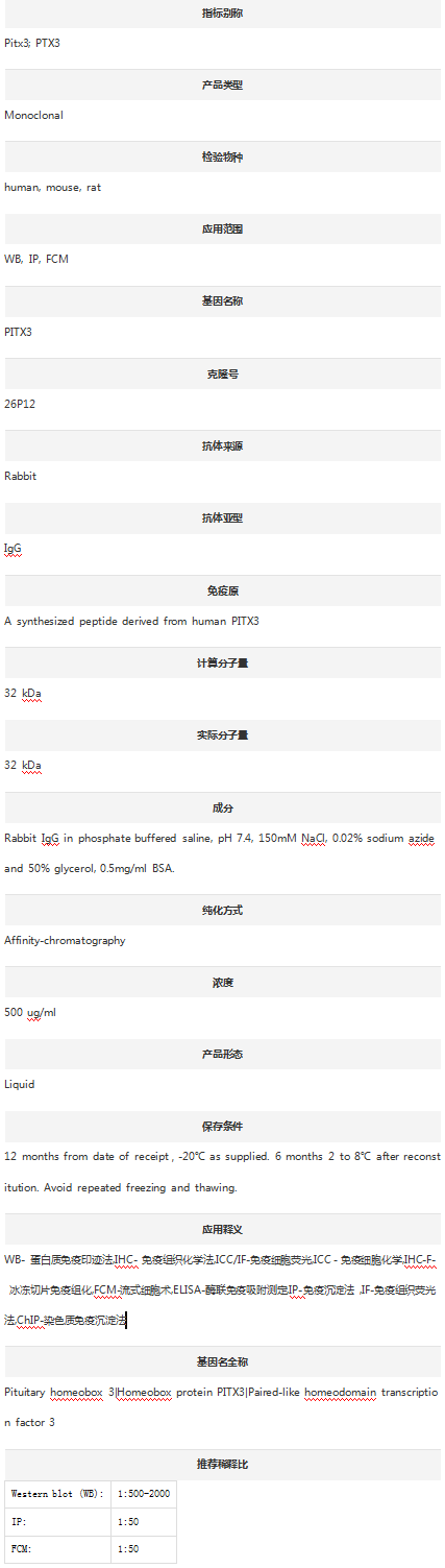 Anti-PITX3 Antibody (Clone#26P