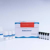 一步法TUNEL流式凋亡检测试剂盒（红色，Elab Fluor® 647）