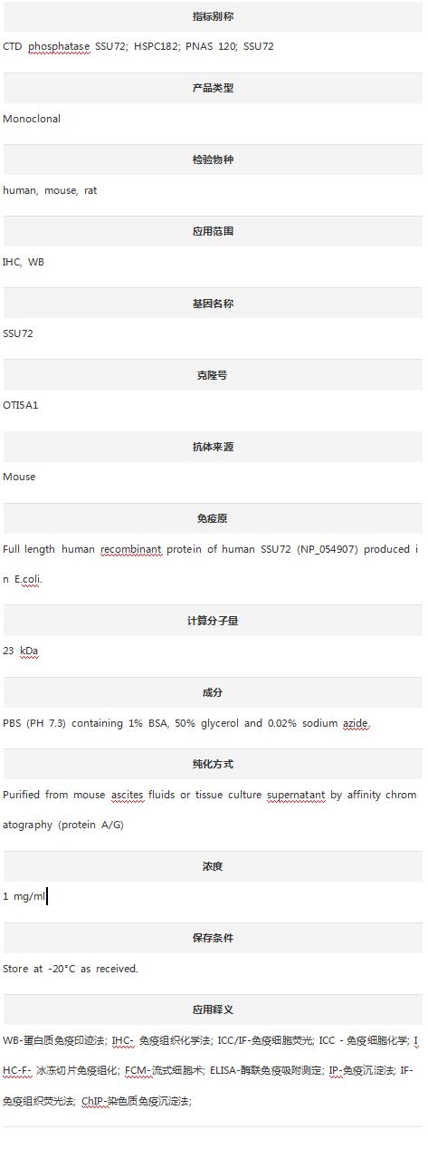 Anti-SSU72 Antibody (Clone#OTI