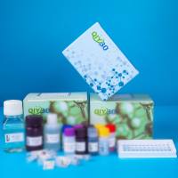 猪DnaJ/Hsp40同源物亚家族C成员12(DNAJC12)ELISA测试盒