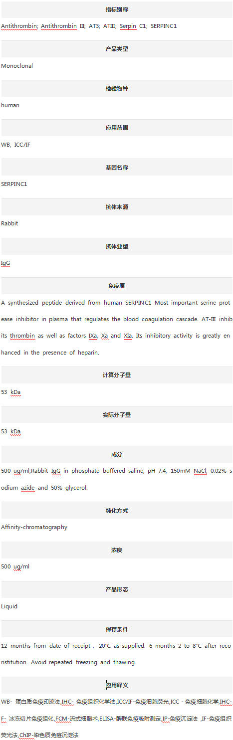 Anti-Serpin C1/Antithrombin II