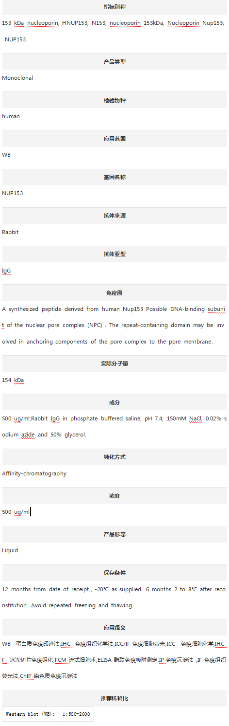Anti-NUP153 Antibody