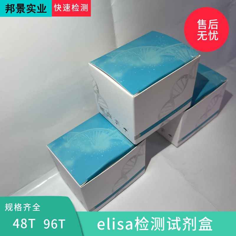 鸡睾酮(T)ELISA试剂盒产品图