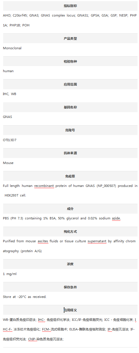 Anti-GNAS Antibody (Clone#OTI1