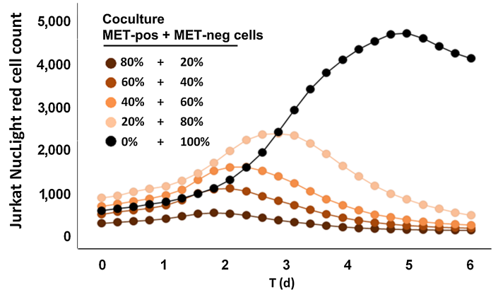 Incucyte助力临床前研究！小分子、抗体、细胞治疗应有尽有…