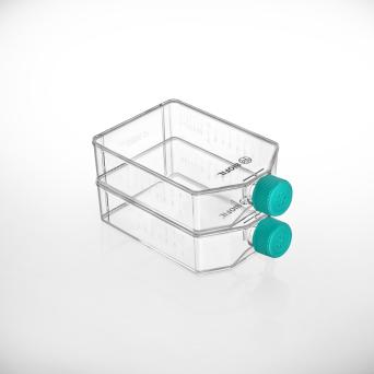新闻图片3