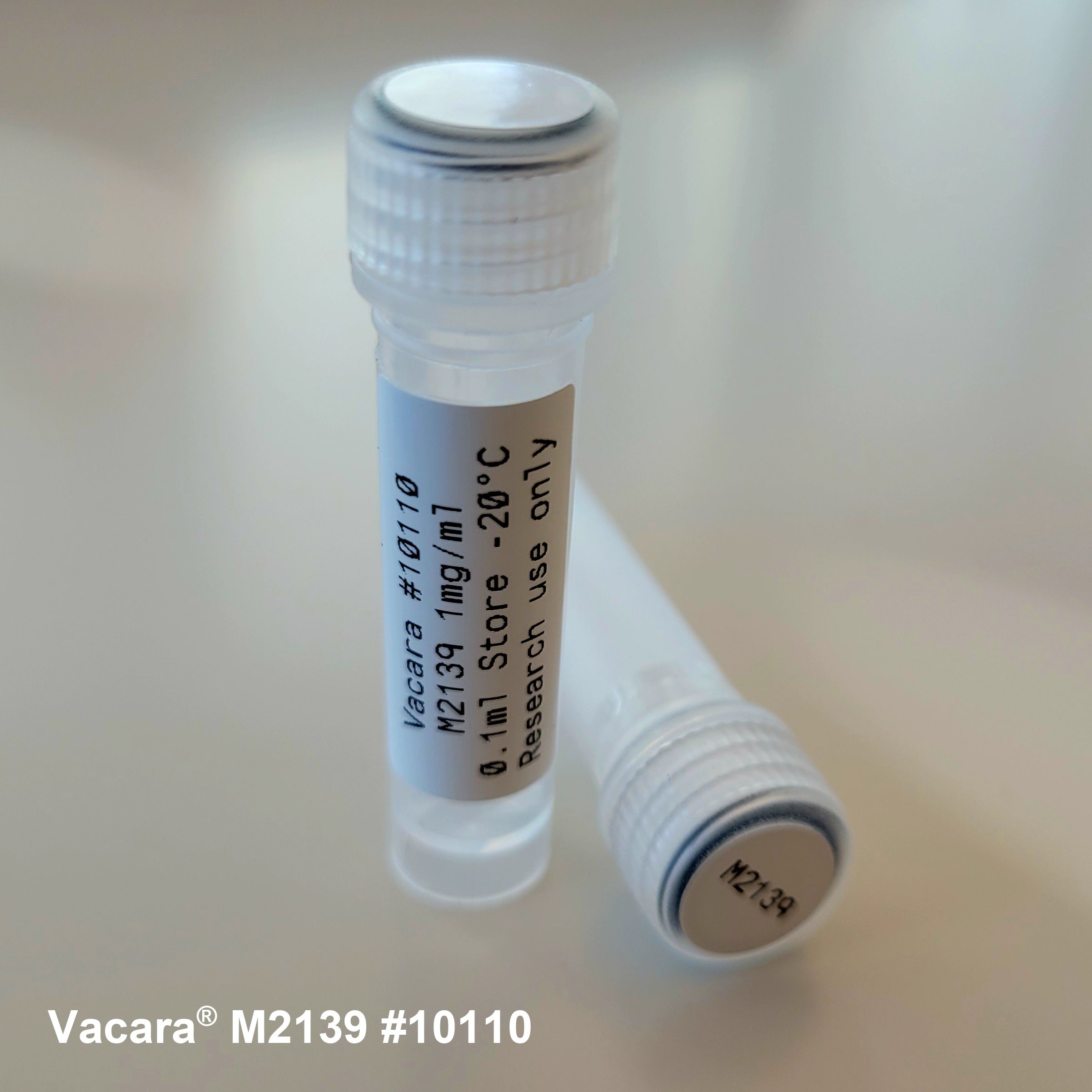 Vacara  cat#10110 Mouse Anti col2A1 Antibody (M2139)