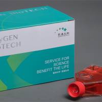 EMT-6 小鼠乳腺癌细胞 KGG2225-1