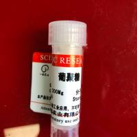 CAS:9004-54-0 葡聚糖T2000