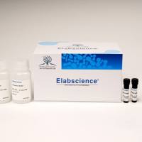 Caspase 1活性检测试剂盒(分光光度法)