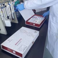 大鼠巨噬细胞炎症蛋白1α(MIP-1α/CCL3)ELISA试剂盒