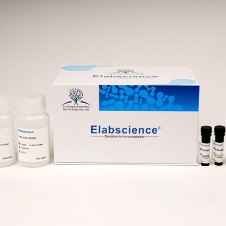 Caspase 8活性检测试剂盒(分光光度法)