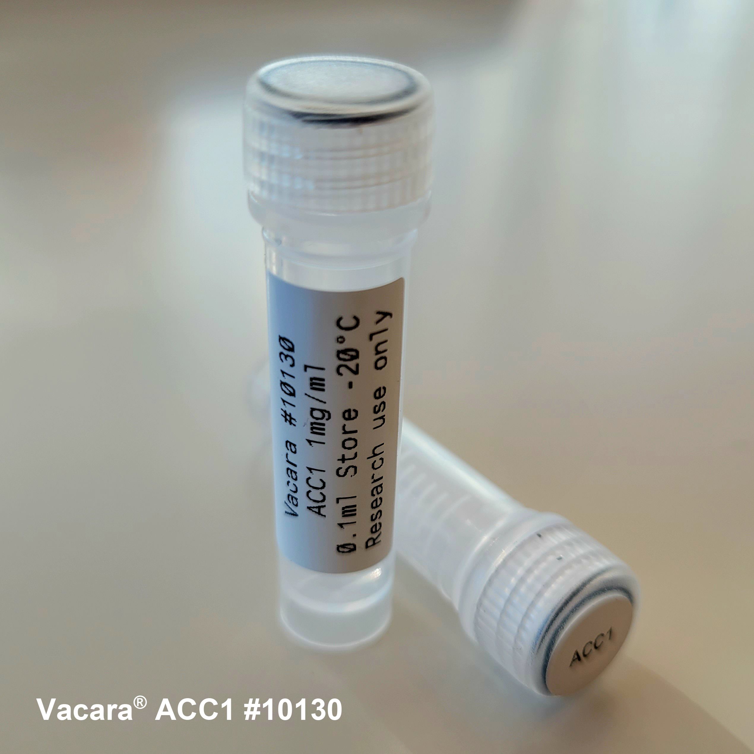 Vacara  cat#10130 Mouse Anti citrullinated COL2A1 Antibody (ACC1)