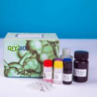 猪酪氨酸酶相关蛋白1(TRP1)ELISA测试盒