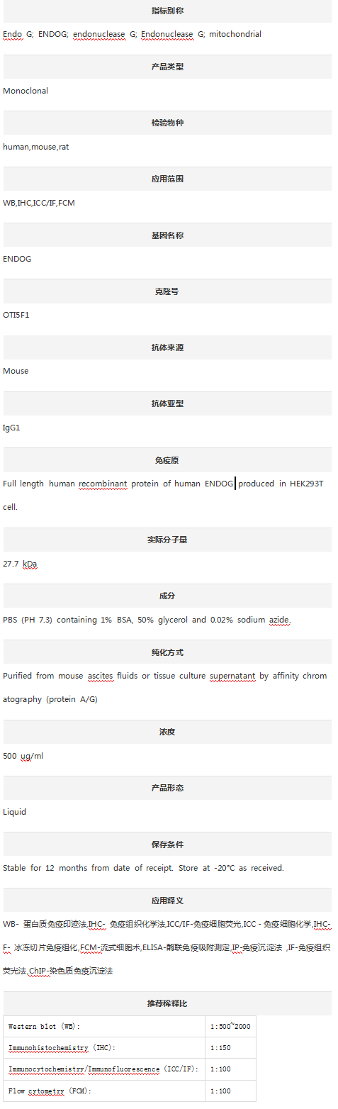 Anti-ENDOG Antibody (Clone#OTI