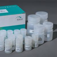 ATP酶测试盒（组织及细胞膜不需高速离心）