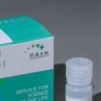 Annexin V-PE Reagent