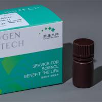 油红染色试剂盒