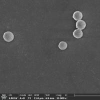 聚苯乙烯磁性微球