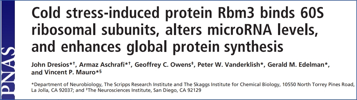 PNAS | 冷应激反应中Polysome profiling技术的应用研究