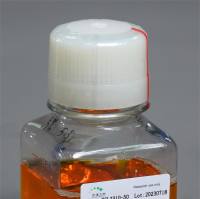 细胞培养级超纯水KGL2309-100