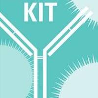 荧光法，原位杂交法检测HER2，HER2检测试剂盒